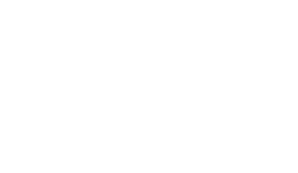 Lady Link Permanent Jewelry Co.